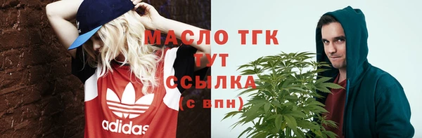 индика Карталы