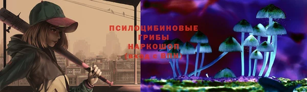 винт Абаза