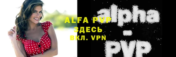 стаф Абинск