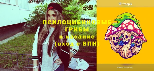 винт Абаза