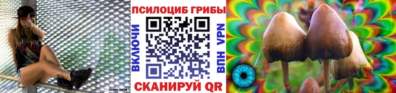 хочу   Азов  Галлюциногенные грибы прущие грибы 