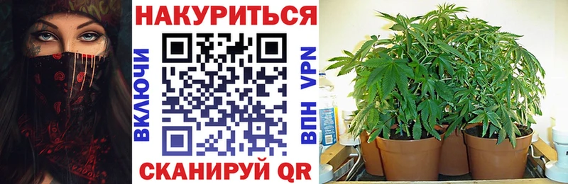 купить наркотики сайты  Азов  mega ССЫЛКА  Бошки Шишки Amnesia 